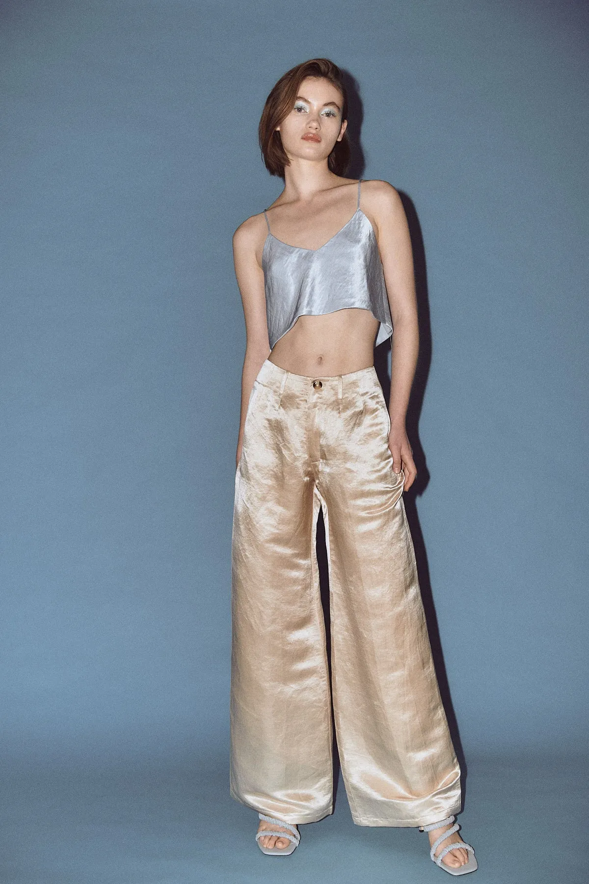 Carlotta Silk Linen Wide Pants